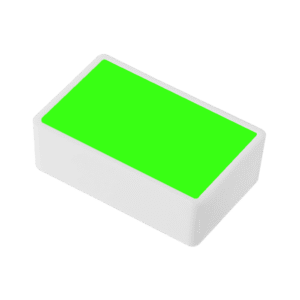 آبرنگ رایمون سری مستر Fluorescent Green کد 181